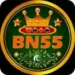 Bn55 Game
