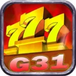 G31 Game