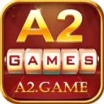 2A  Game